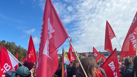 Das Bild zeigt viele Menschen mit Linke-Fahnen.