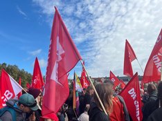Das Bild zeigt viele Menschen mit Linke-Fahnen.
